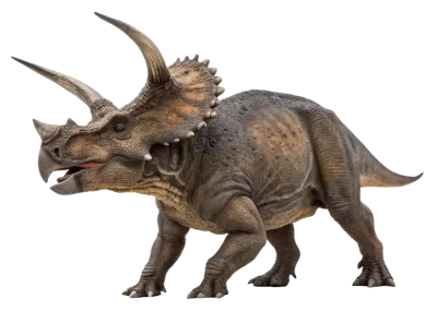 Imagen PNG para descargar